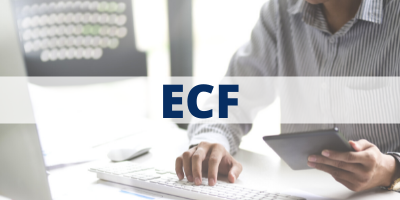 Cruzamentos da ECF (2)